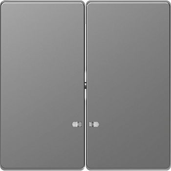 SE Merten D-Life Нержавеющая Сталь Клавиша 2-ная с линзой для LED модуля MTN3420-6036