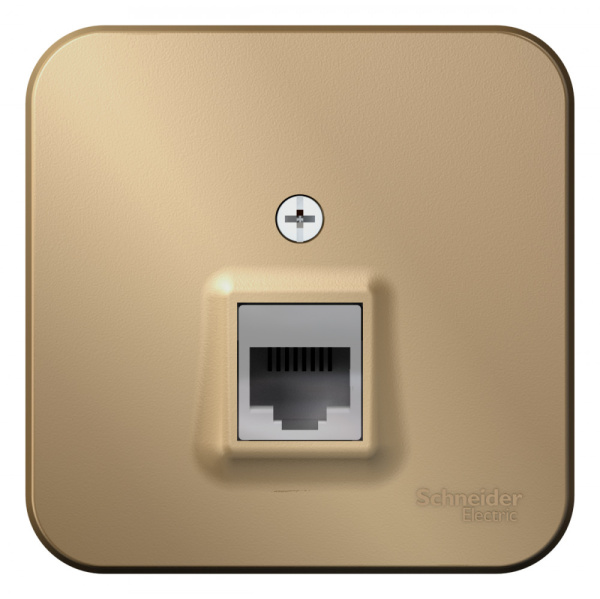 Systeme Electric Blanca наруж Титан Розетка ТЛФ RJ11 изолир. пластина