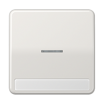 JUNG CD 500/CD plus Светло-серая Клавиша 1-ая с/п с полем для надписи CD590NAKO5LG