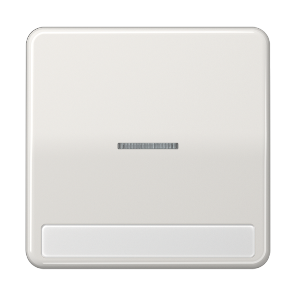 JUNG CD 500/CD plus Светло-серая Клавиша 1-ая с/п с полем для надписи CD590NAKO5LG