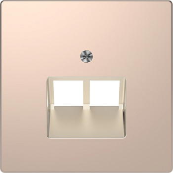 SE Merten D-Life Шампань Накладка центральная для розетки 2-ной RJ45 MTN4522-6051