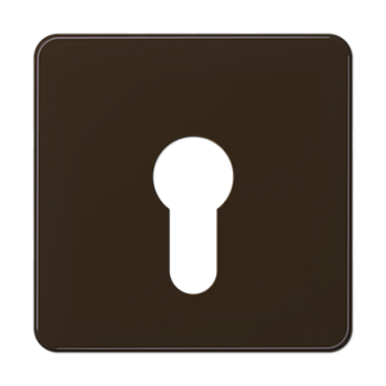 JUNG центральная плата для вставки с ключом, коричневый CD525BR