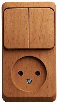 Systeme Electric Этюд наруж Бук Блок: Розетка б/з + выключатель 2-клавишный