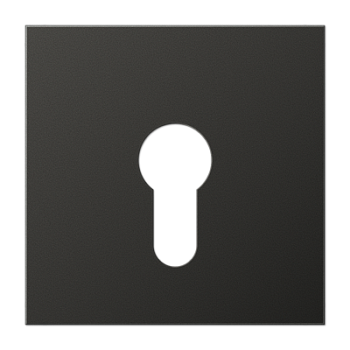 JUNG Крышка для выключателя с замком антрацит AL2925AN