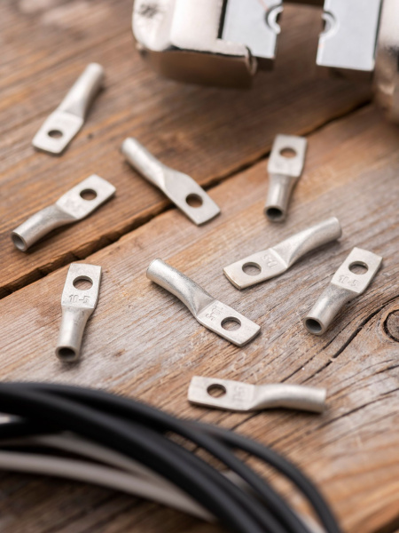 Купить EKF PROxima Наконечник медный луженый ТМЛ DIN 10-5