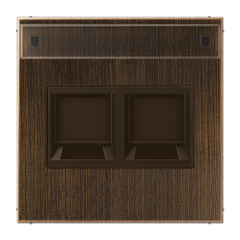 JUNG Плата (фиксация защёлкиванием) для одного модуля с полем для надписи металл латунь Antik ME1969-2NAWEAT