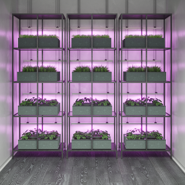 Купить Gauss Светильник Fito для растений 8W 220lm 175-265V IP20 561*25*37мм, фиолет спектр LED 5 130411908