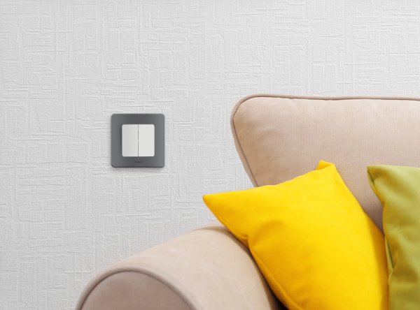 Купить Legrand INSPIRIA Дымчатый Рамка - 1 пост 673937