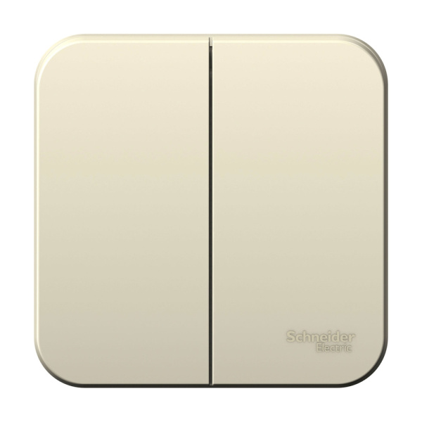 Systeme Electric Blanca наруж Молочный Выключатель 2-клавишный 10А, 250B, изолир. пластина