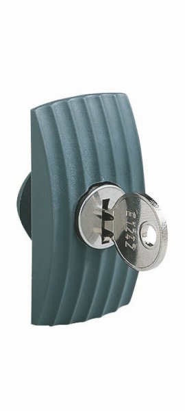 Купить SE Мал.пластина с замком+ключ 405Е NSYML405SD