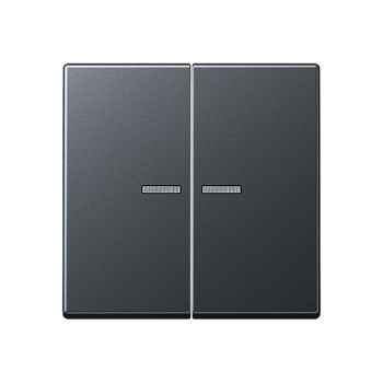 JUNG Матовый антрацит Клавиши для сдвоенных выключателей; термопласт; с окошком A595BFKO5ANM