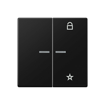 JUNG A Flow/A 550 Черный матовый Центральная плата универсальная A1701BFSWM