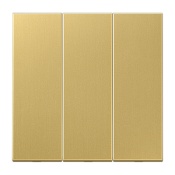 JUNG Латунь Classic Клавиша 3-ая для трёхклавишного переключателя арт. 5306EU ME993C