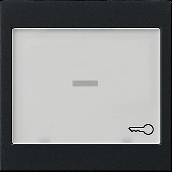 Gira Клавиша с полем для надписи 37*47 мм 0676005