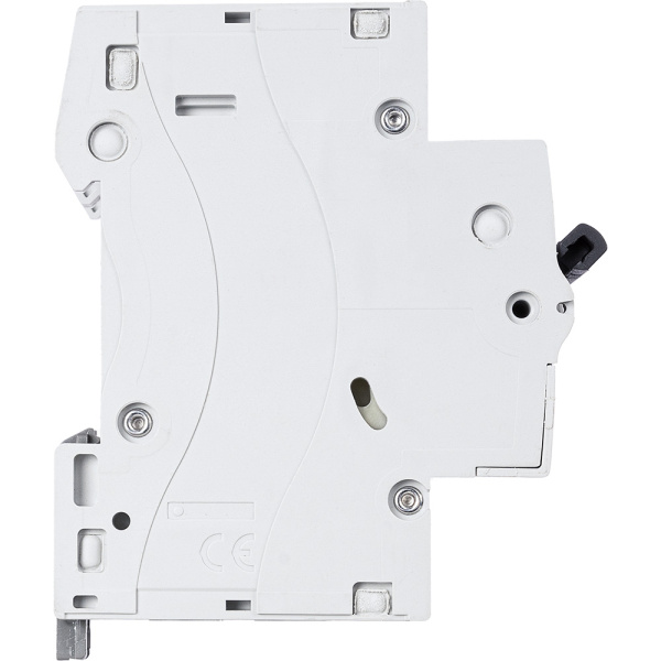 Купить Legrand RX3 Автоматический выключатель 2P 6А (C) 4,5kA 419694