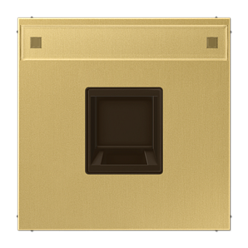 JUNG Плата (фиксация защёлкиванием) для одного модуля с полем для надписи металл латунь Classic ME1969-1NAWEC