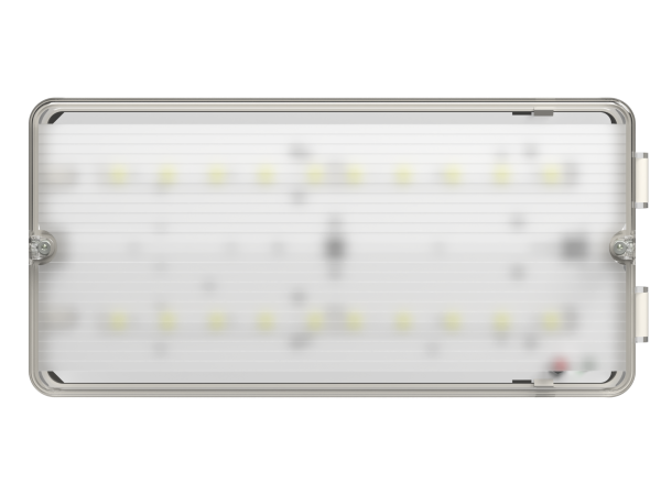 Купить Белый свет Аварийный светильник BS-RUMB-51-L1-INEXI2 a15970