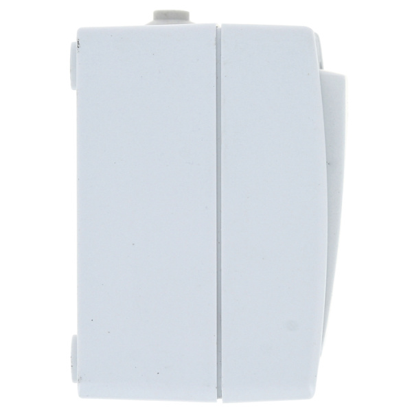 Купить EKF PROxima Блок розетка-выкл. 2-кл. 16А с/з с крышкой IP54 бел. с защ. штор. Венеция EVRV16-052-10-540