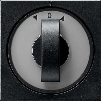 Gira Накладка с ручкой для жалюзи 0666005