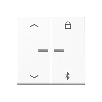 JUNG Таймер универсальный Bluetooth «стрелки», белый A1751BFPBTWW