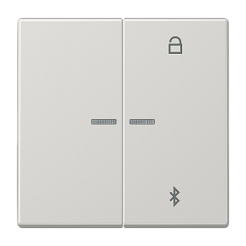 JUNG Таймер универсальный Bluetooth, светло-серый LS1751BTLG