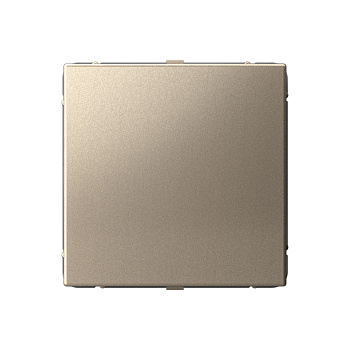 Systeme Electric ArtGallery Шампань Заглушка без суппорта для многопостовых рамок