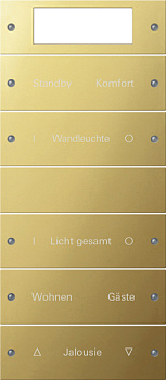 Gira Instabus ClassiX Гравировка Комплект клавиш, 5 шт. 2145608