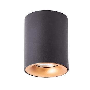 Arte Lamp TORRE Потолочные светильники A1532PL-1BK