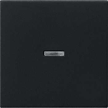 Gira Клавиша с подсветкой 0290005