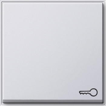 Gira Клавиша с пиктограммой "ключ" 028766