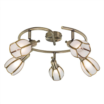 Citilux CL522651 Альтен-2 Бронза Светильник Наст.-Потол.