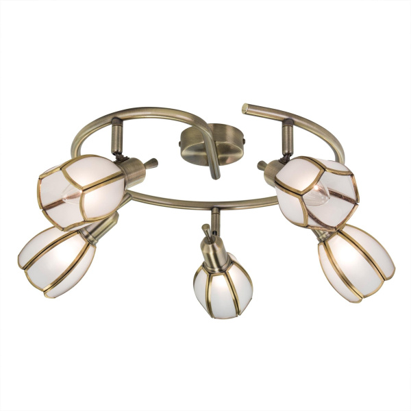 Citilux CL522651 Альтен-2 Бронза Светильник Наст.-Потол.