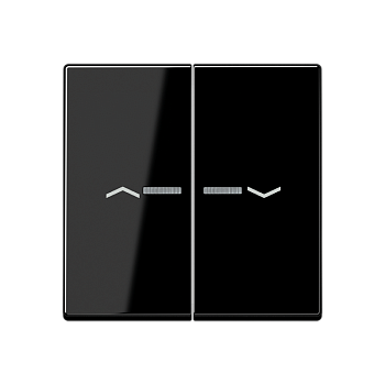 JUNG Клавиши для сдвоенной кнопки BCU, чёрный A595KO5PSW