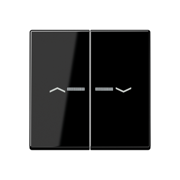 JUNG Клавиши для сдвоенной кнопки BCU, чёрный A595KO5PSW