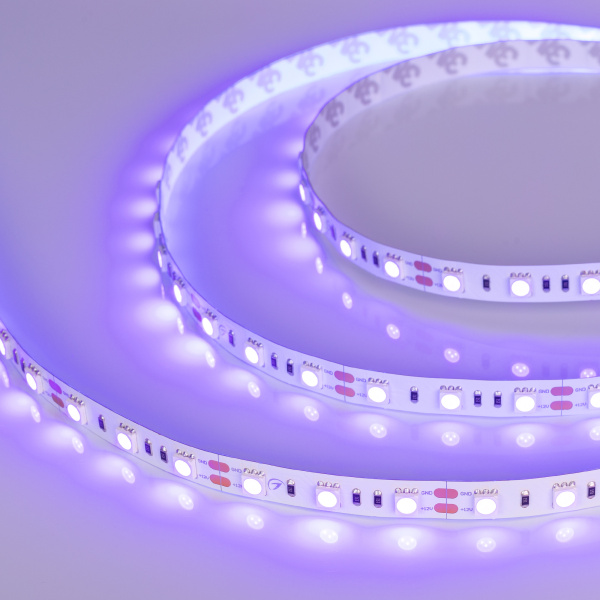 Купить Arlight Светодиодная лента RT-B60-10mm 12V UV400 (14.4 W/m, IP20, 5060, 5m) (Открытый) 012815(2)