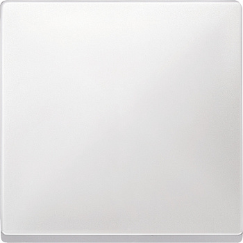 SE Merten SD Бел Клавиша 1-ая (термопласт) MTN412119