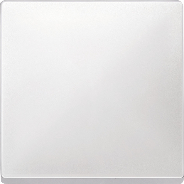 SE Merten SD Бел Клавиша 1-ая (термопласт) MTN412119