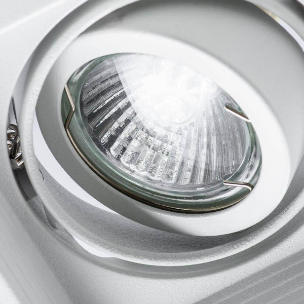 Купить Arte Lamp CANIS Потолочные светильники A6661PL-1WH