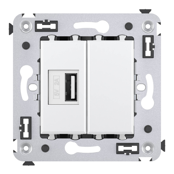 Купить DKC USB зарядное устройство в стену, "Avanti", "Белое облако"