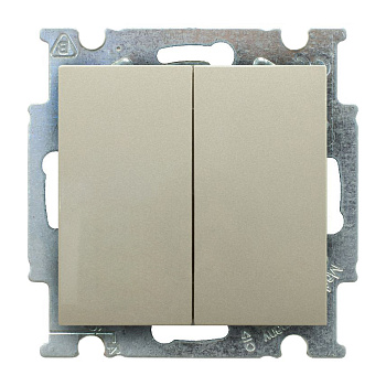 ABB BJB Basic 55 Шамп Переключатель 2-х клавишный 2CKA001012A2171