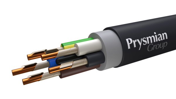 Кабель силовой с ПВХ изоляцией ВВГнг(А) -FRLS 5x6 ок(N,PE) ч РЭК-Prysmian 1705070106