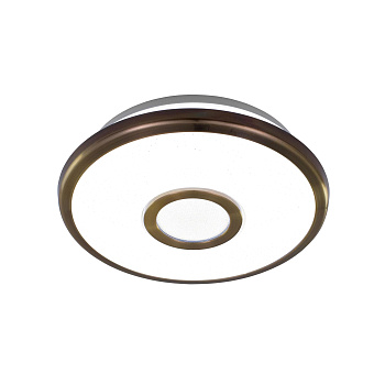 Citilux Светильник потолочный светодиодный СтарЛай CL70313