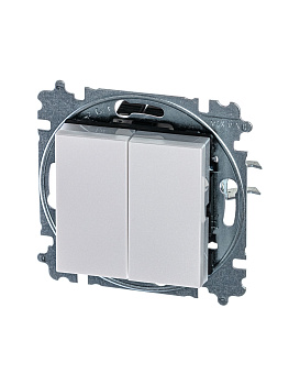 ABB EPJ Levit жемчуг / ледяной Переключатель 2-клавишный 2CHH595245A6068