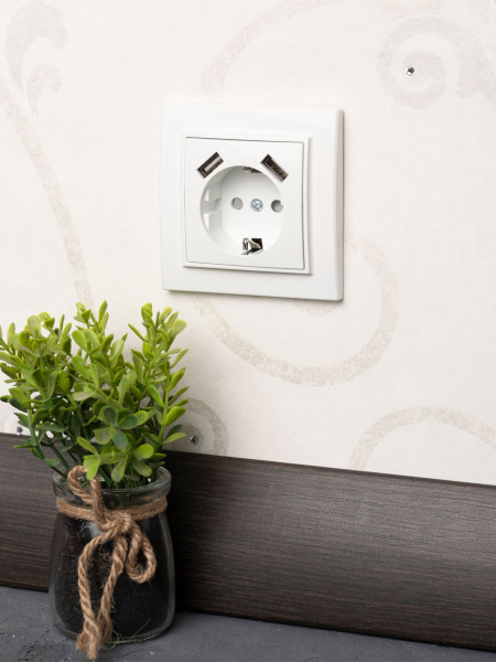 Купить EKF Basic Минск Белый Розетка с/з, со шторками и крышкой, 16А, СП