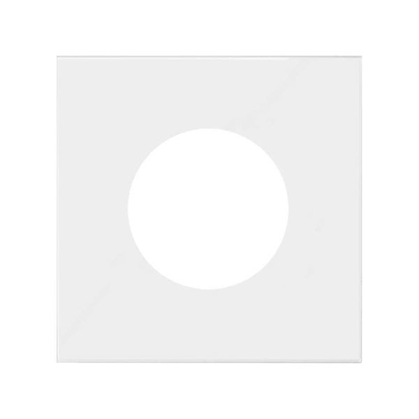 Simon 100 Белый матовый Накладка евро-американской розетки 10000047-230