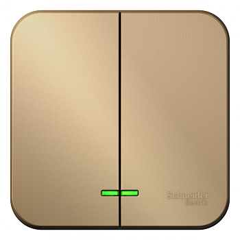 Systeme Electric Blanca наруж Титан Выключатель 2-клавишный , 10А, 250B