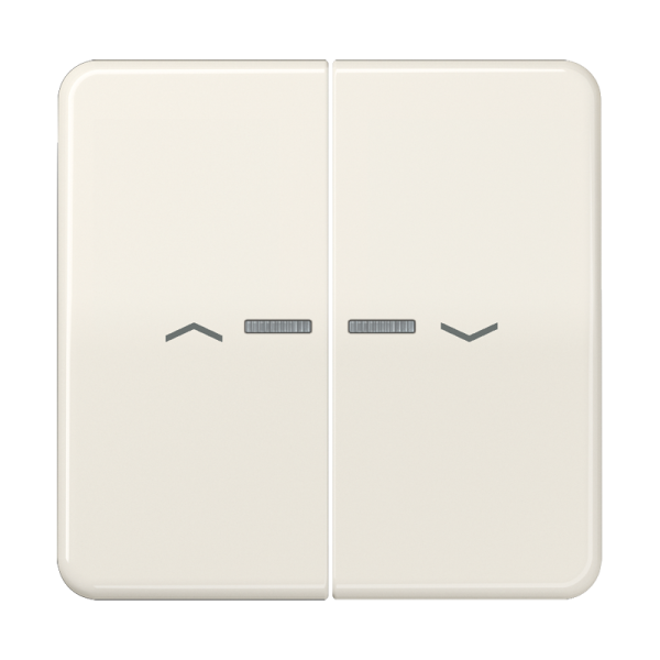 JUNG Клавиши для сдвоенной кнопки BCU белые CD595KO5P