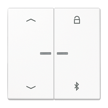 JUNG Таймер универсальный Bluetooth «стрелки», белый LS1751PBTWW