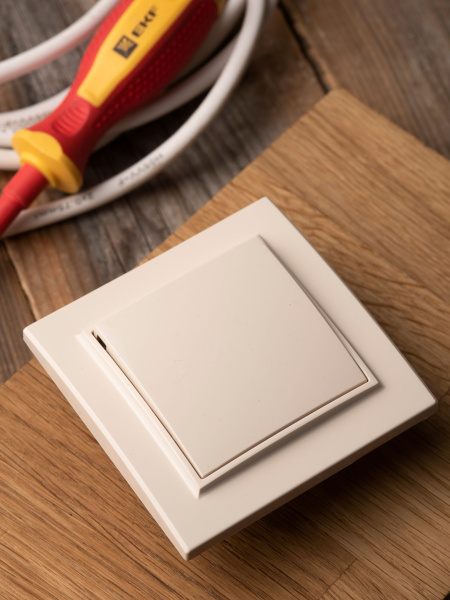 Купить EKF Basic Минск Бежевый Выключатель 1-кл, 10А, СП