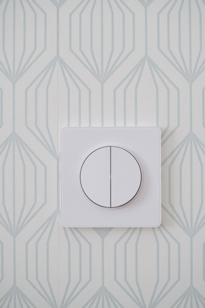 Купить SE Odace Бел Выключатель 2-клавишный 10А S52R211